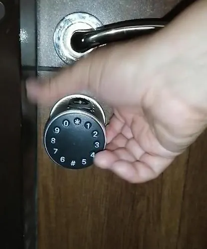 Belisima 204 B Ravda