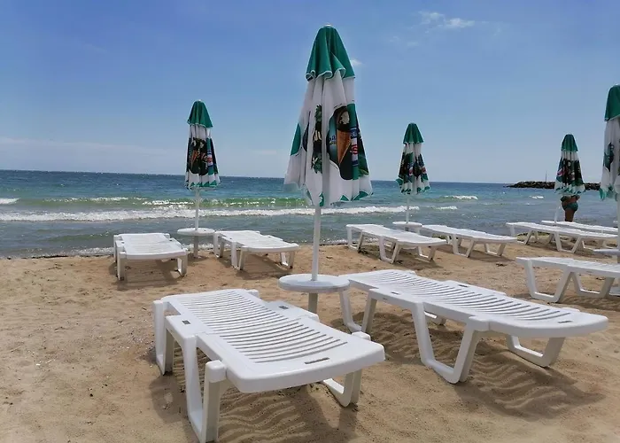 Belisima 204 B رافدا